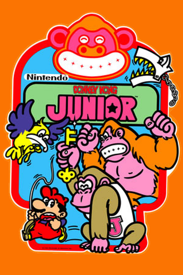 Donkey Kong Jr