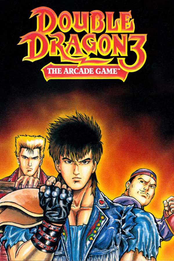 Double Dragon 3 - The Arcade Game