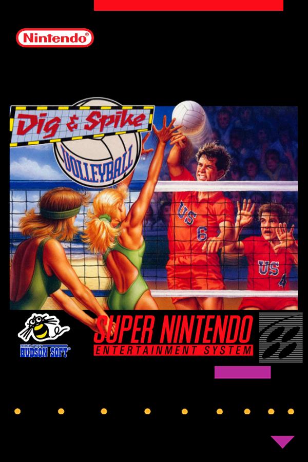 Dig & Spike Volleyball